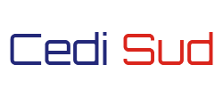Cedi Sud Logo